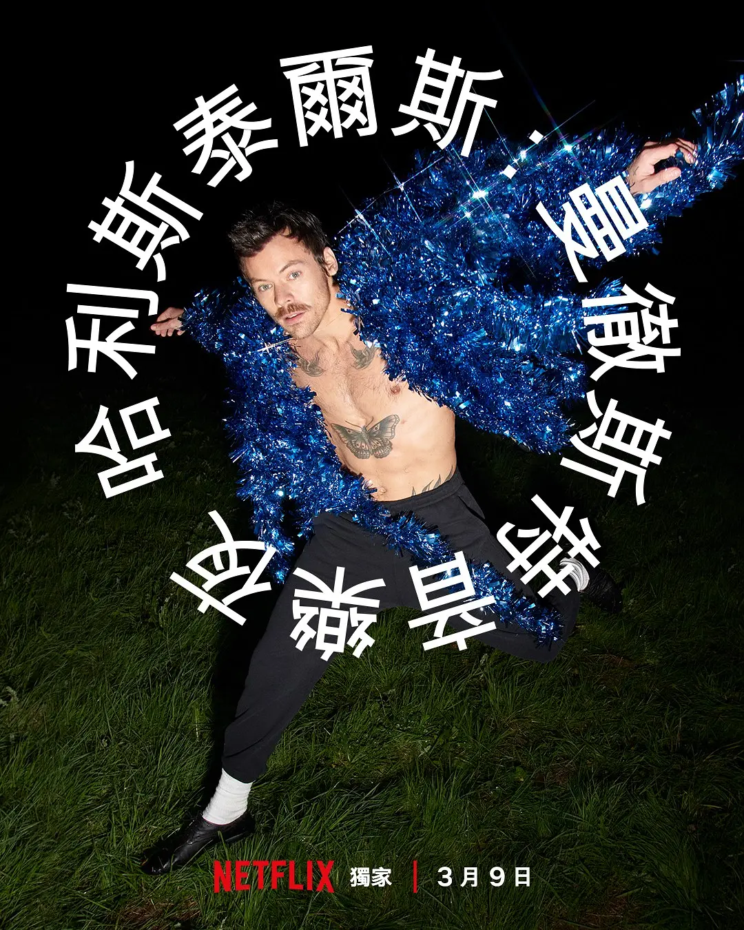 哈里·斯泰尔斯：曼彻斯特音乐夜